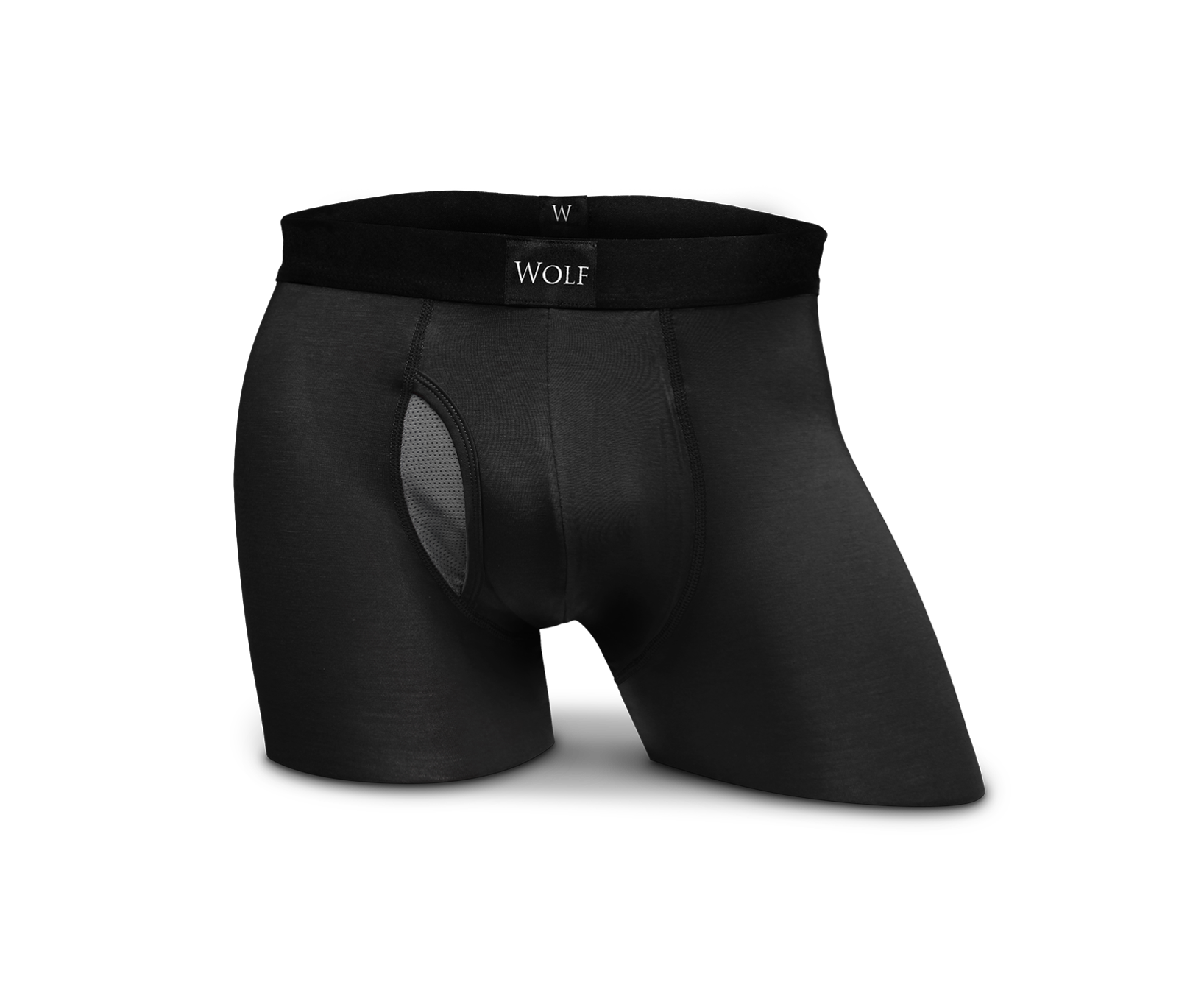 Luxe Boxer Brief - Onyx – Wolf Clothing Co.